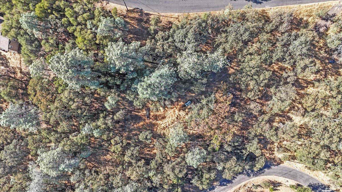 Garden Valley, CA 95633,7000 Olympus DR