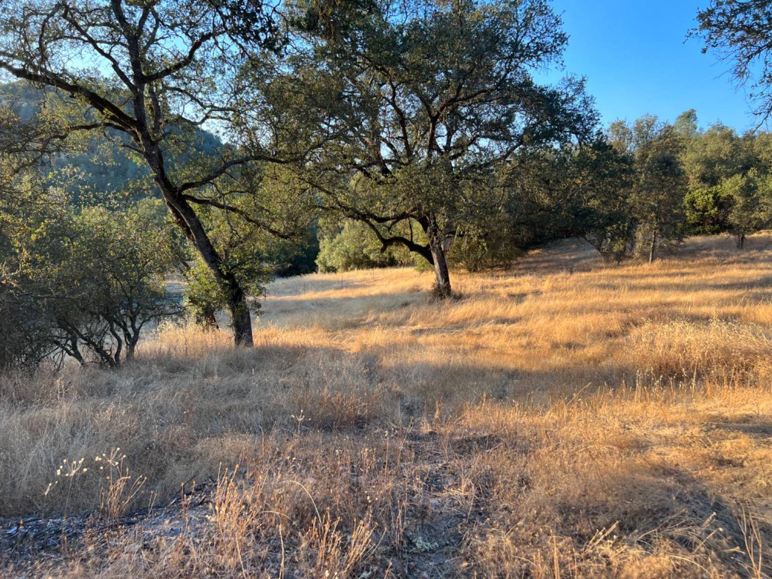 Mokelumne Hill, CA 95245,3906 Highway 49