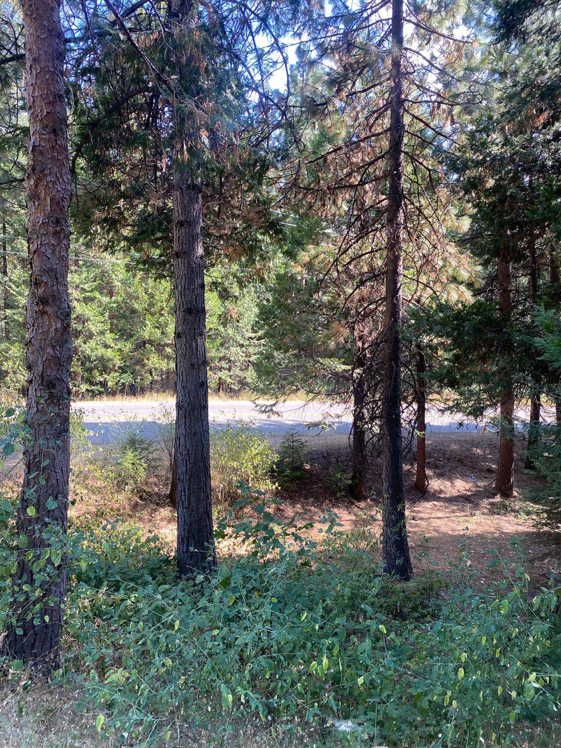 Pollock Pines, CA 95726,0 Gold Ridge TRL