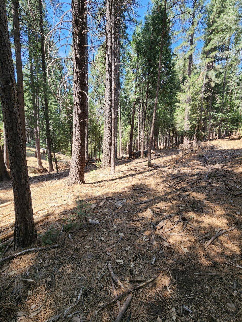 Pollock Pines, CA 95726,0 Juarez RD