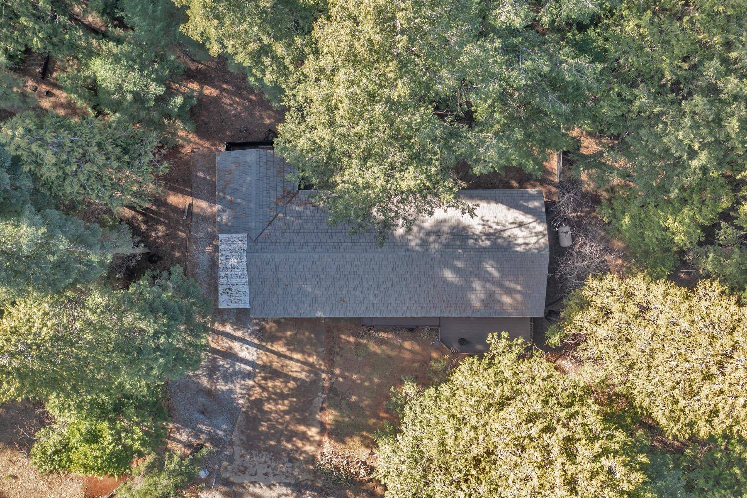 Pollock Pines, CA 95726,3031 Sanders CT