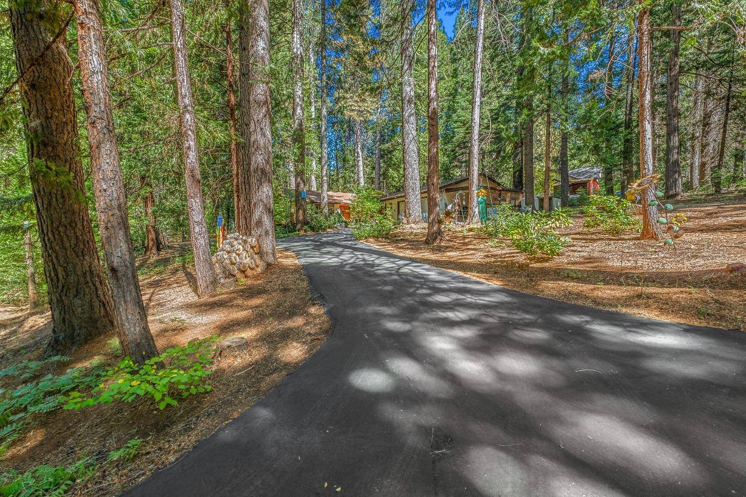 Pollock Pines, CA 95726,5030 Apple Creek CT