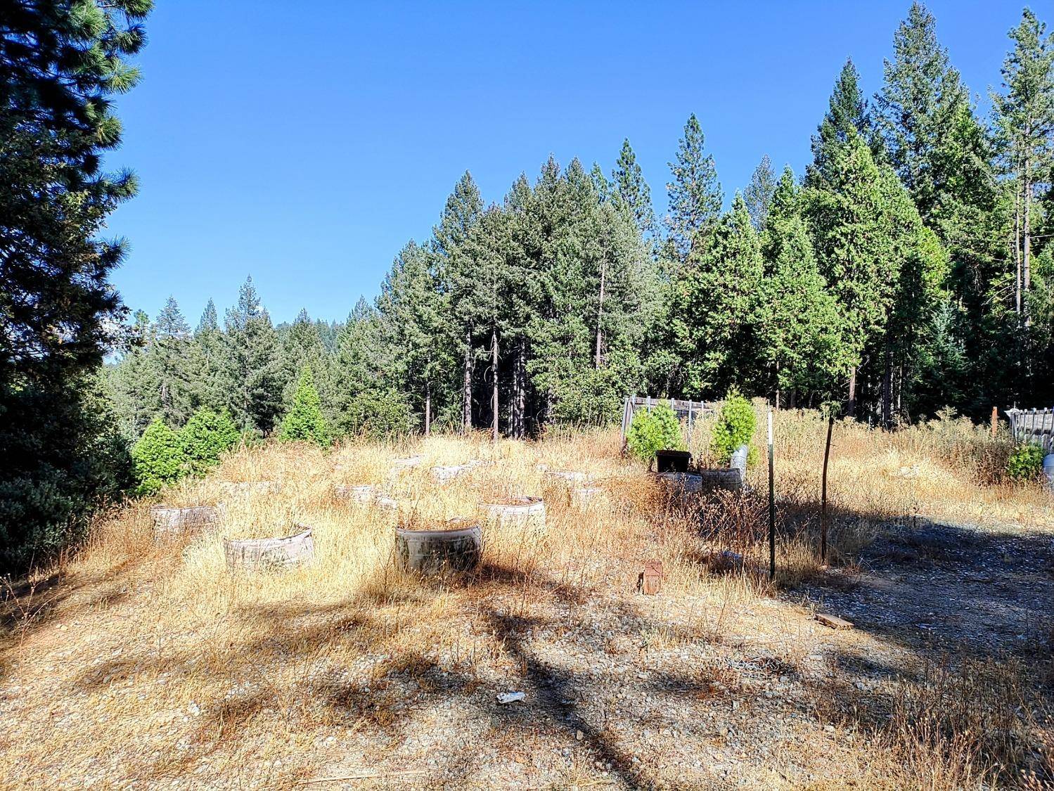 Nevada City, CA 95959,20392 Madrone Springs RD