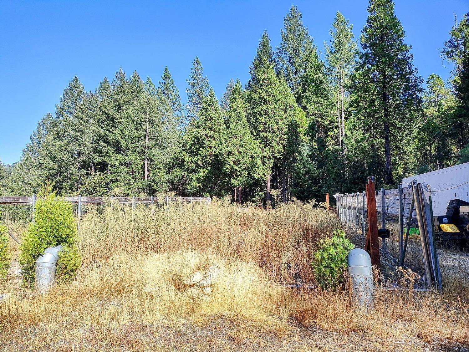 Nevada City, CA 95959,20392 Madrone Springs RD