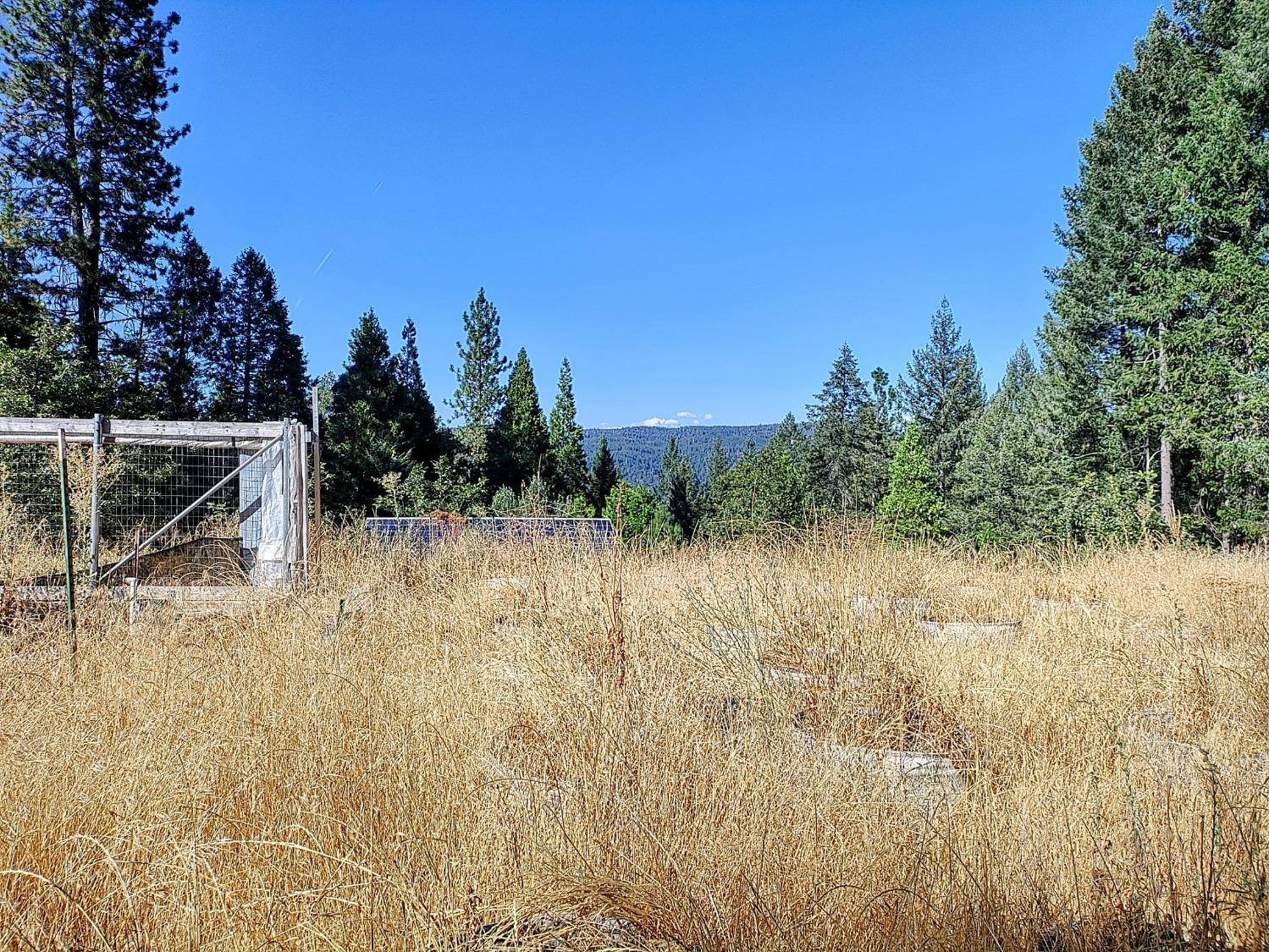 Nevada City, CA 95959,20392 Madrone Springs RD