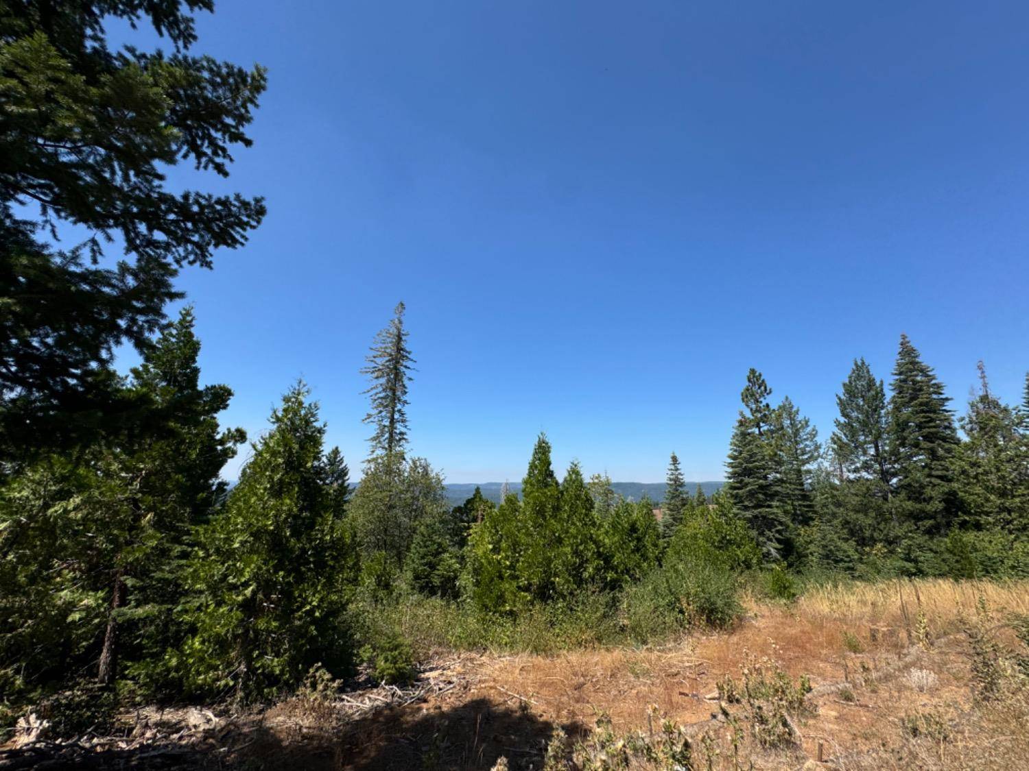 Nevada City, CA 95959,10598 Wa Back Bone Rd