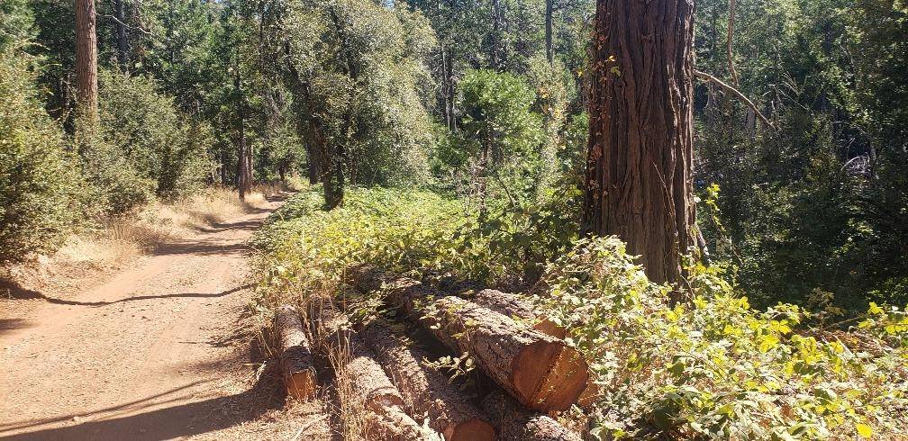 Volcano, CA 95689,0 Gold Creek Trail