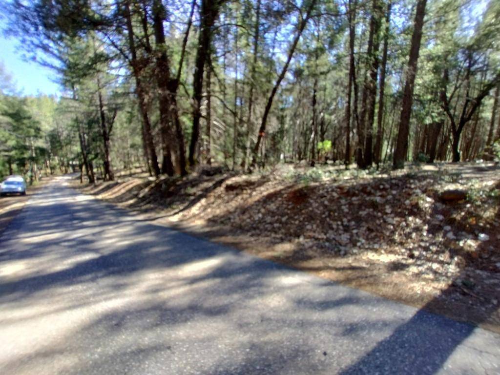 Grass Valley, CA 95945,13928 Manion Canyon RD