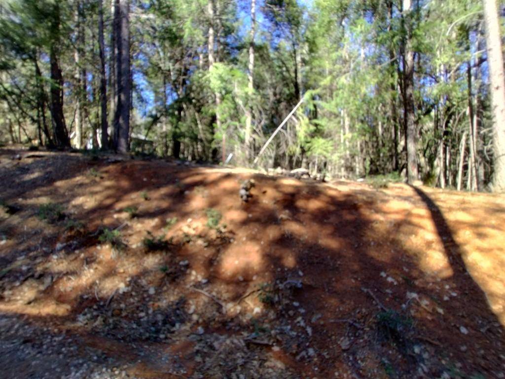 Grass Valley, CA 95945,13928 Manion Canyon RD