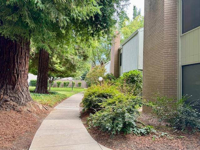 Sacramento, CA 95825,203 Elmhurst CIR