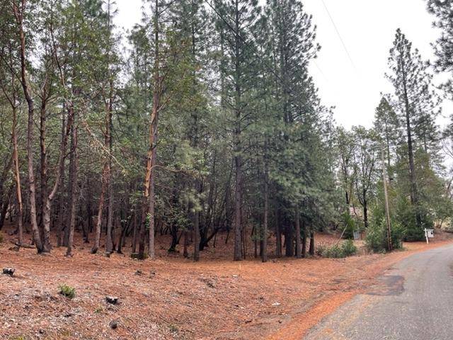 Placerville, CA 95667,6560 Log Cabin LN