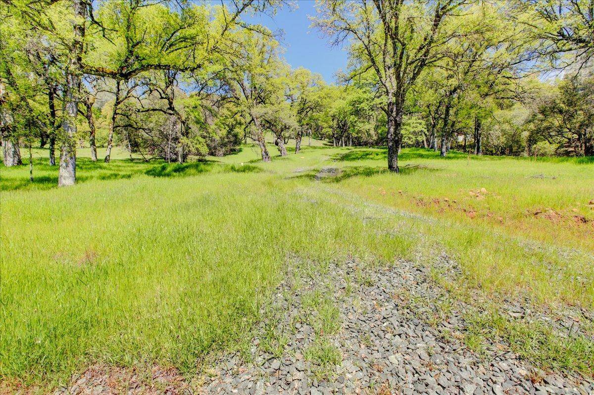 Grass Valley, CA 95949,12584 Kodiak LN