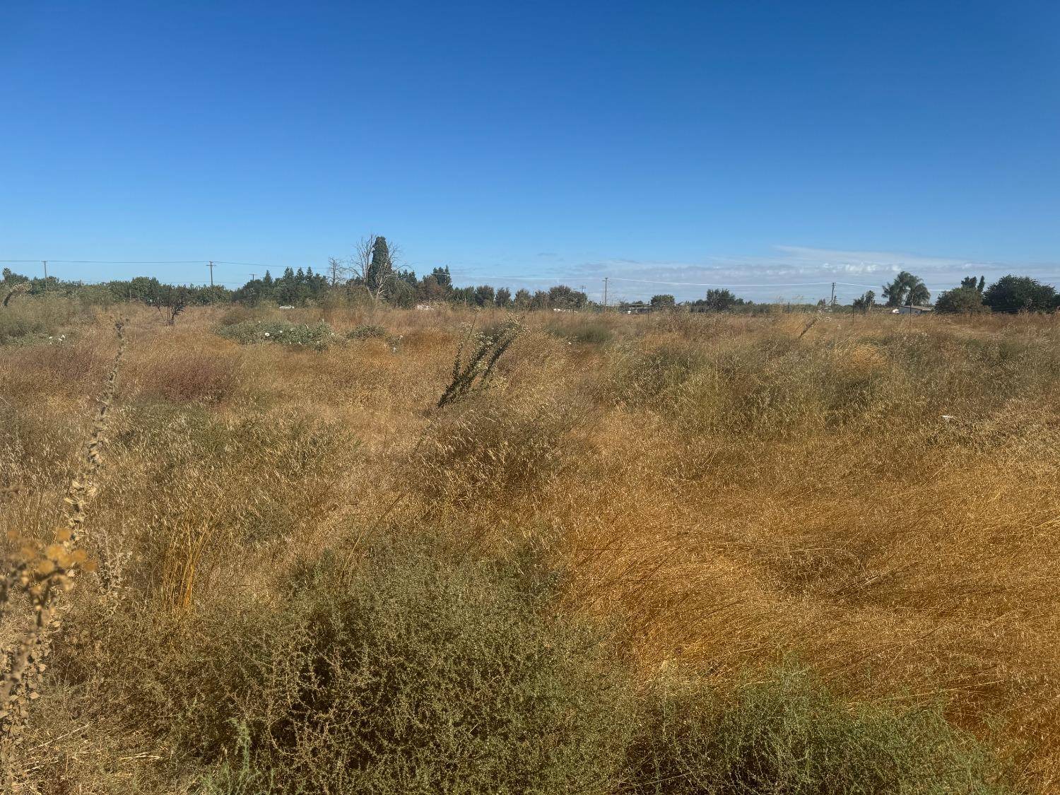 Modesto, CA 95356,2895 Healthcare WAY