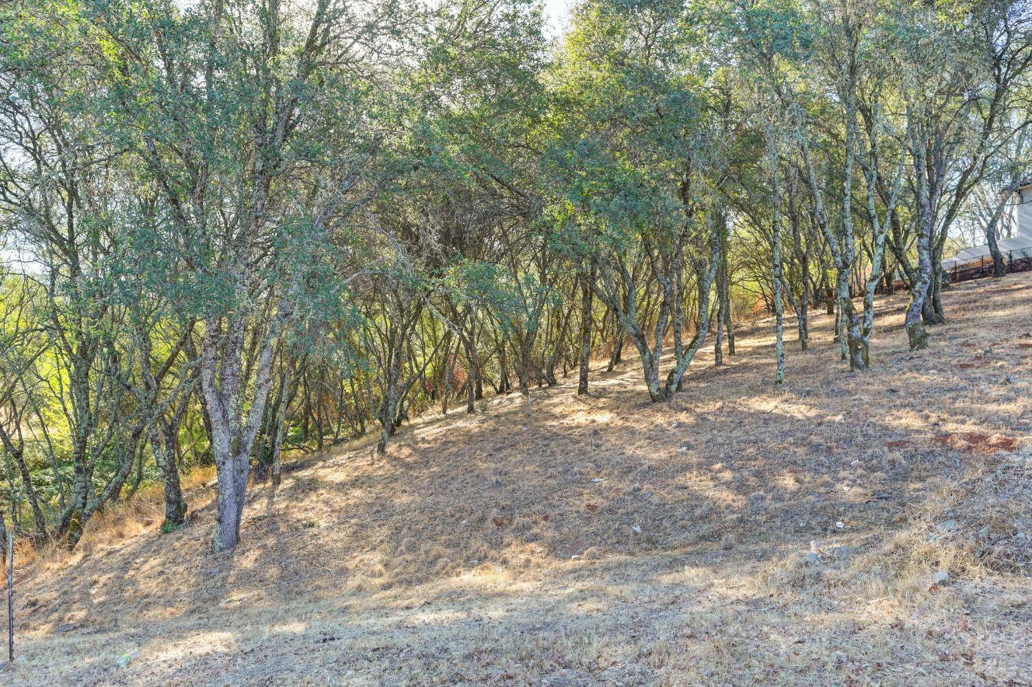 El Dorado Hills, CA 95762,6084 Western Sierra WAY