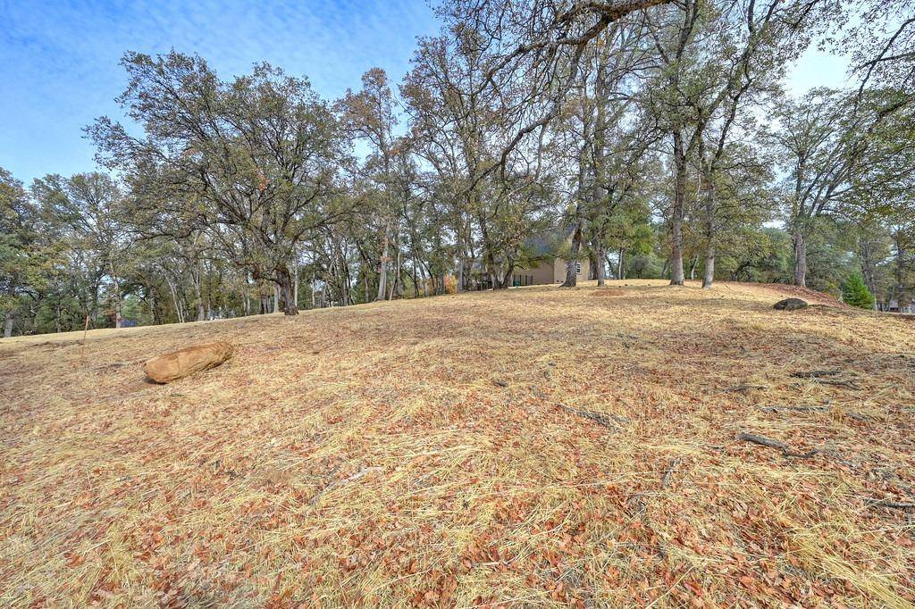 Auburn, CA 95602,13011 Austin Forest CIR