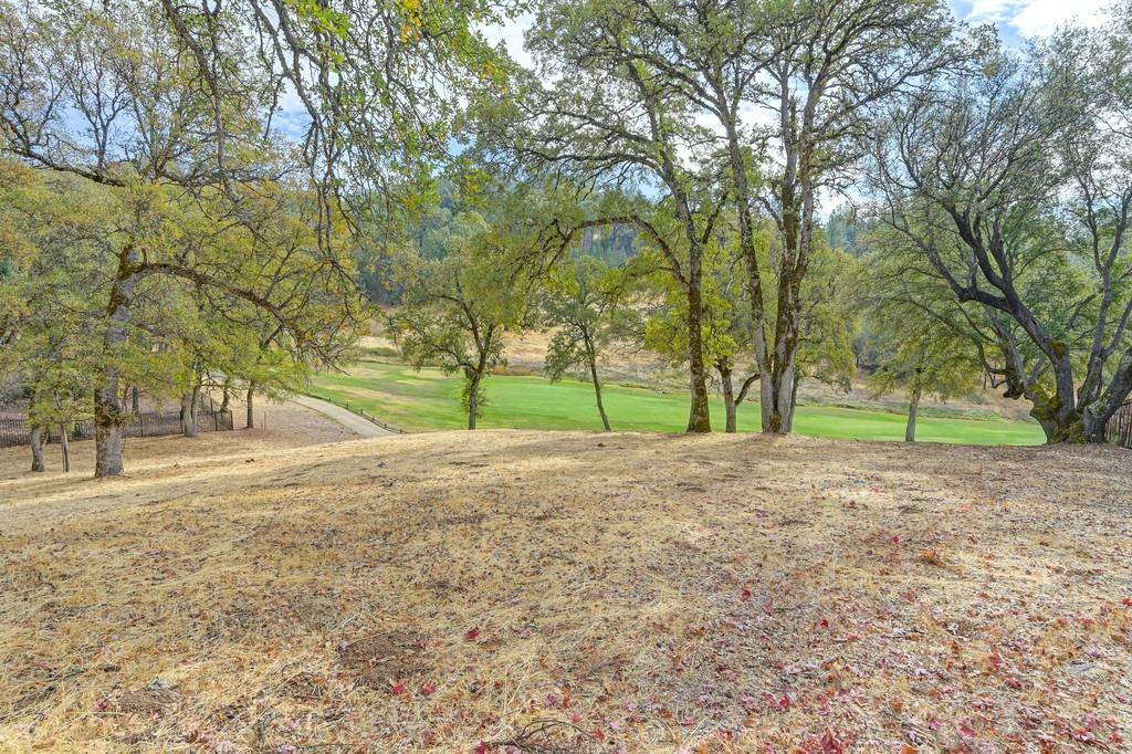 Auburn, CA 95602,13042 Austin Forest CIR