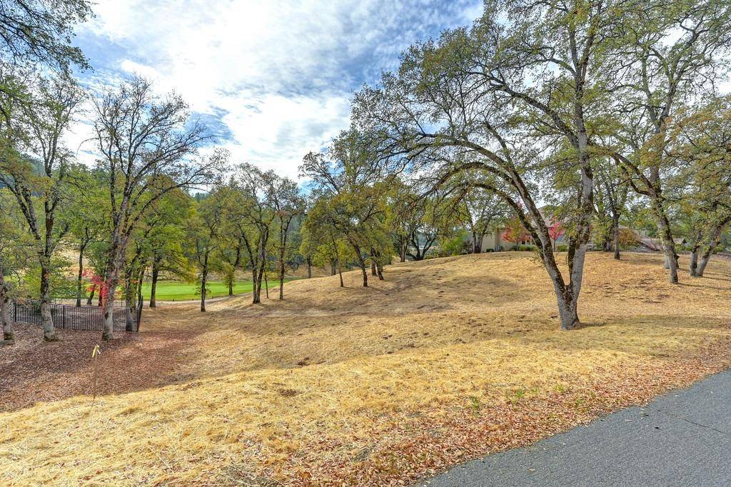 Auburn, CA 95602,13042 Austin Forest CIR