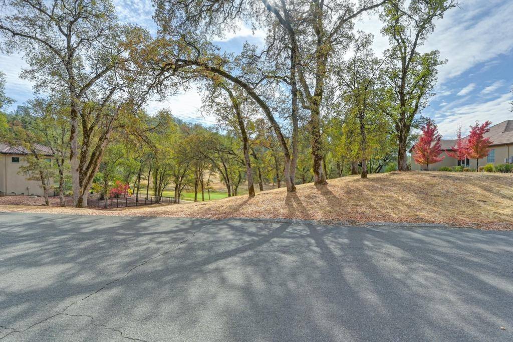 Auburn, CA 95602,13042 Austin Forest CIR