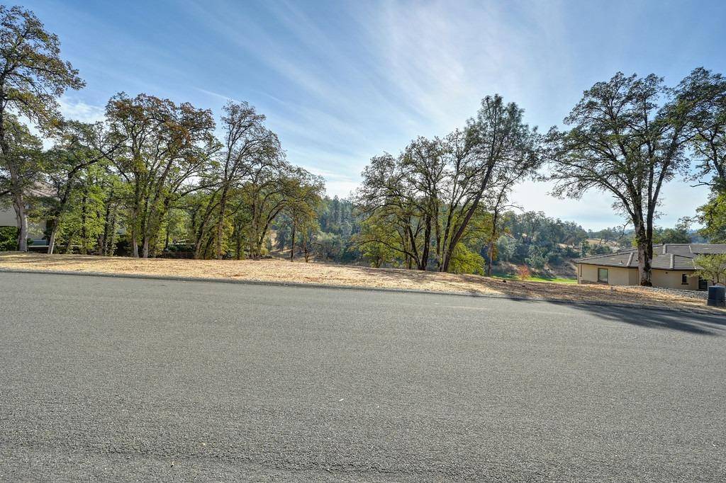 Auburn, CA 95602,13016 Austin Forest CIR