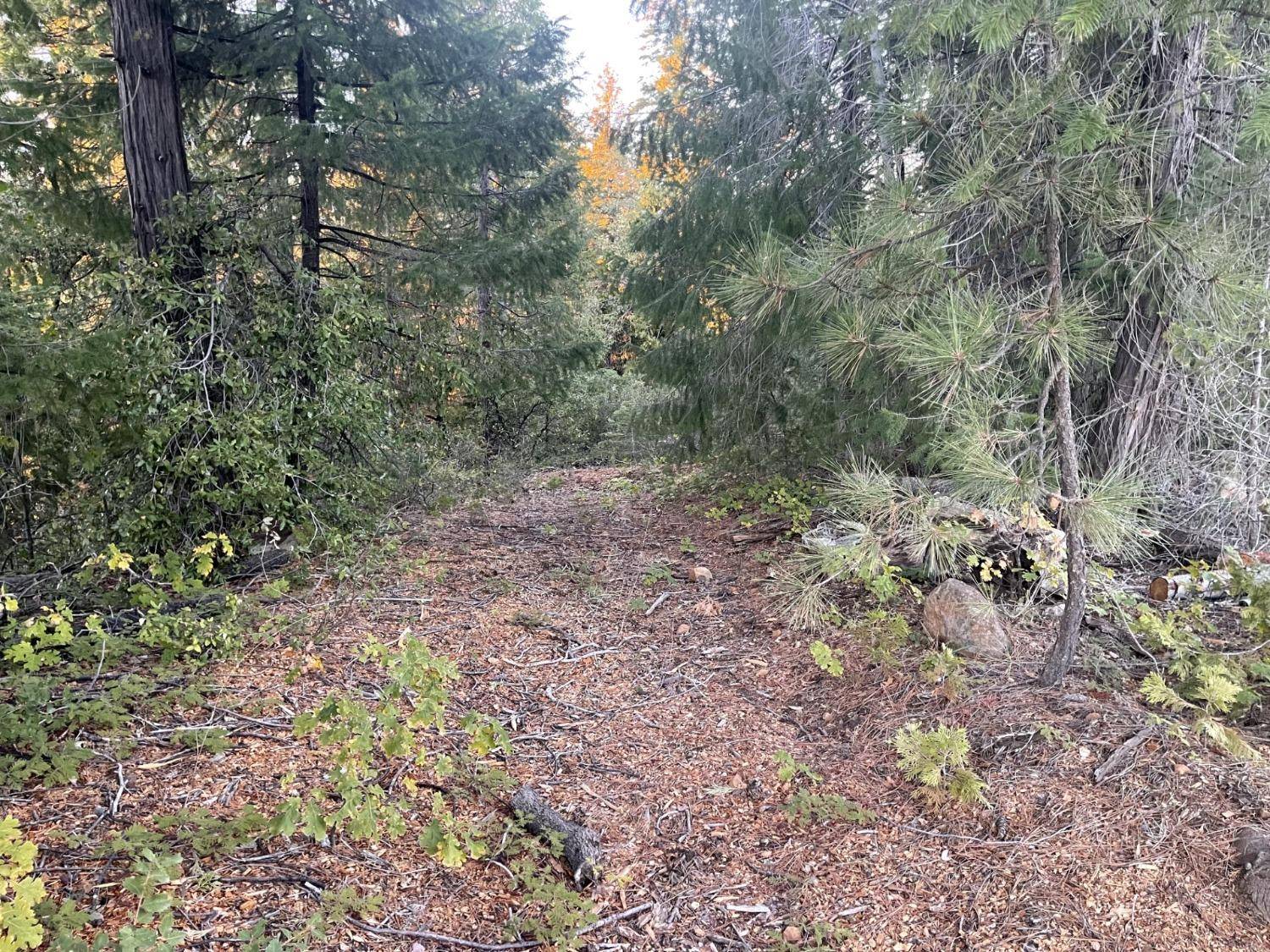 Alta, CA 95701,0 Culberson RD