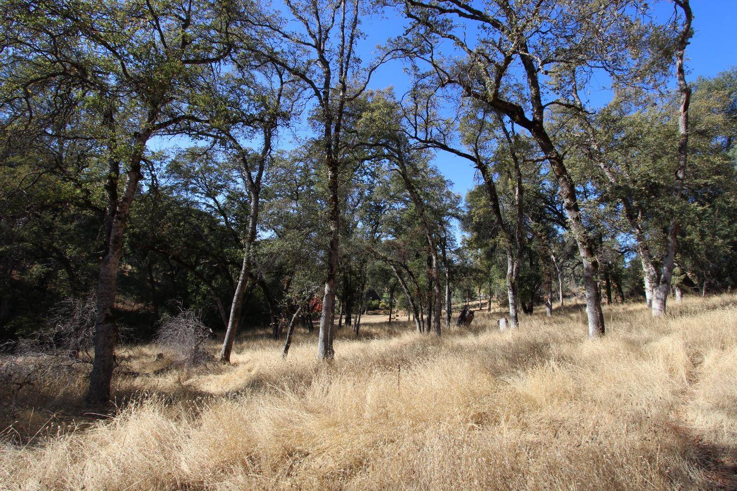 Auburn, CA 95602,12848 Austin Forest CIR