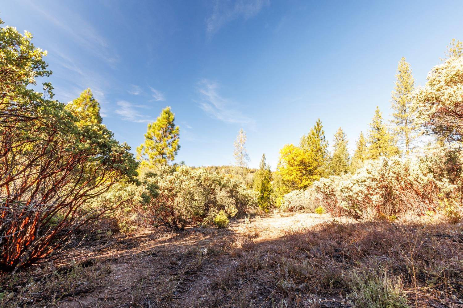 Pollock Pines, CA 95726,acre Snows Rd