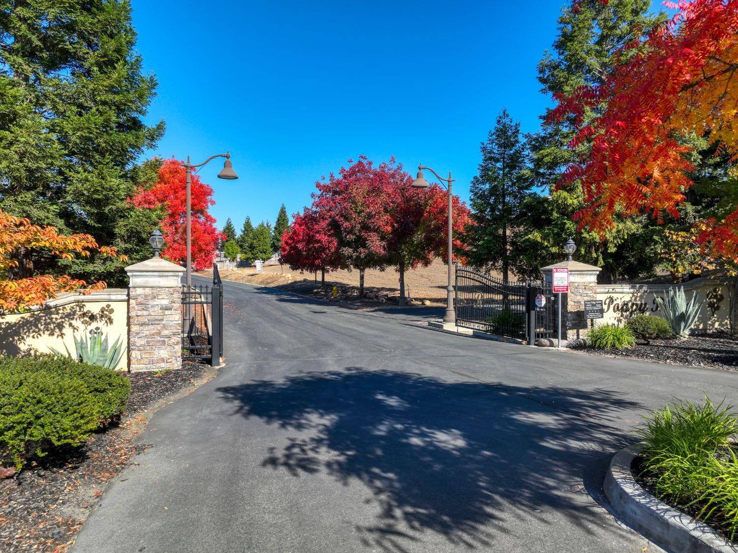 Loomis, CA 95650,Lot 1 Poppy Ridge CT