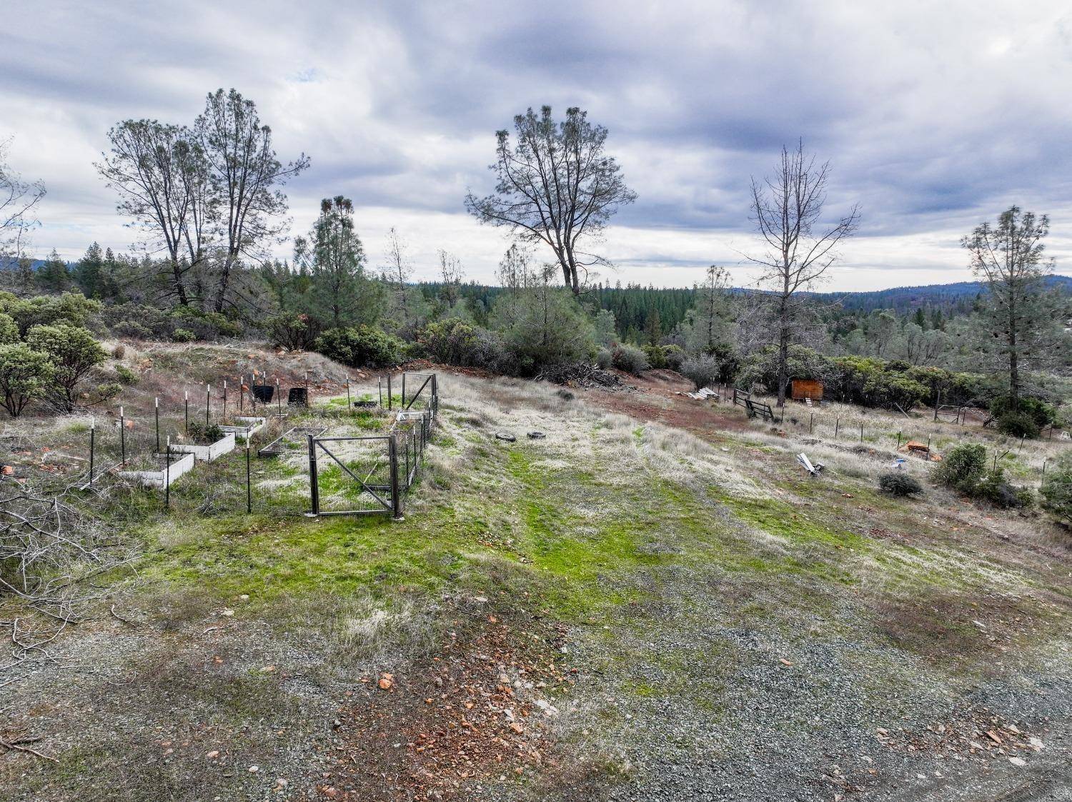 Grass Valley, CA 95949,13684 S Ponderosa WAY