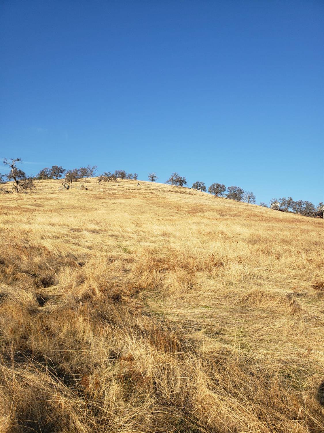 La Grange, CA 95329,2417 Adelfa ST