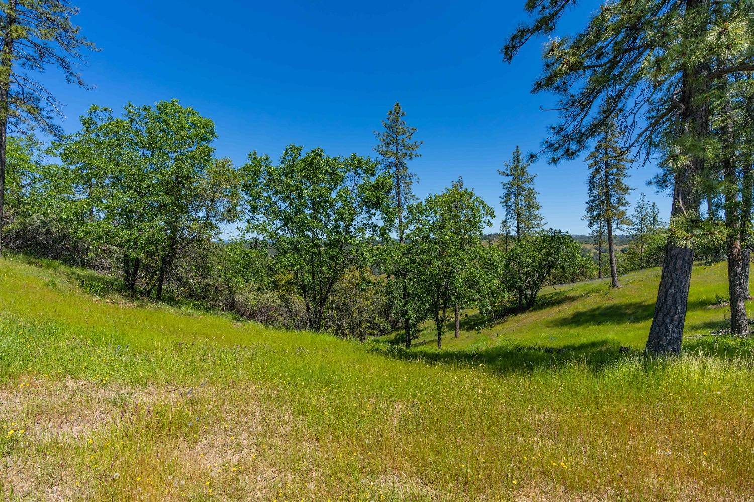 Sutter Creek, CA 95685,12377 Twin Pines Rd