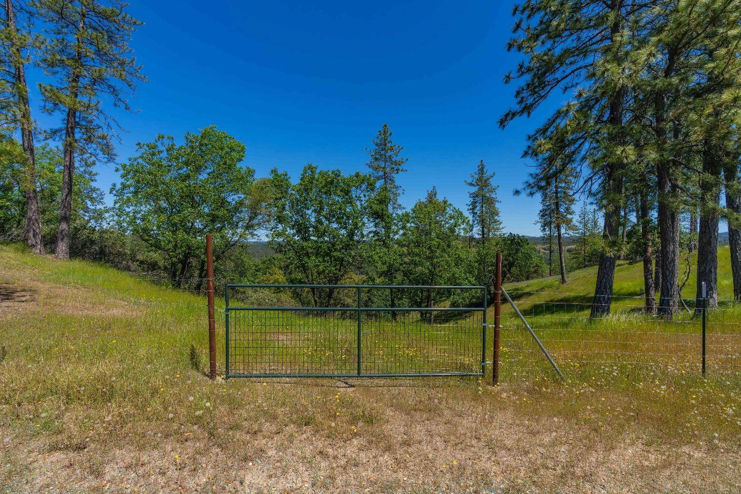 Sutter Creek, CA 95685,12377 Twin Pines Rd