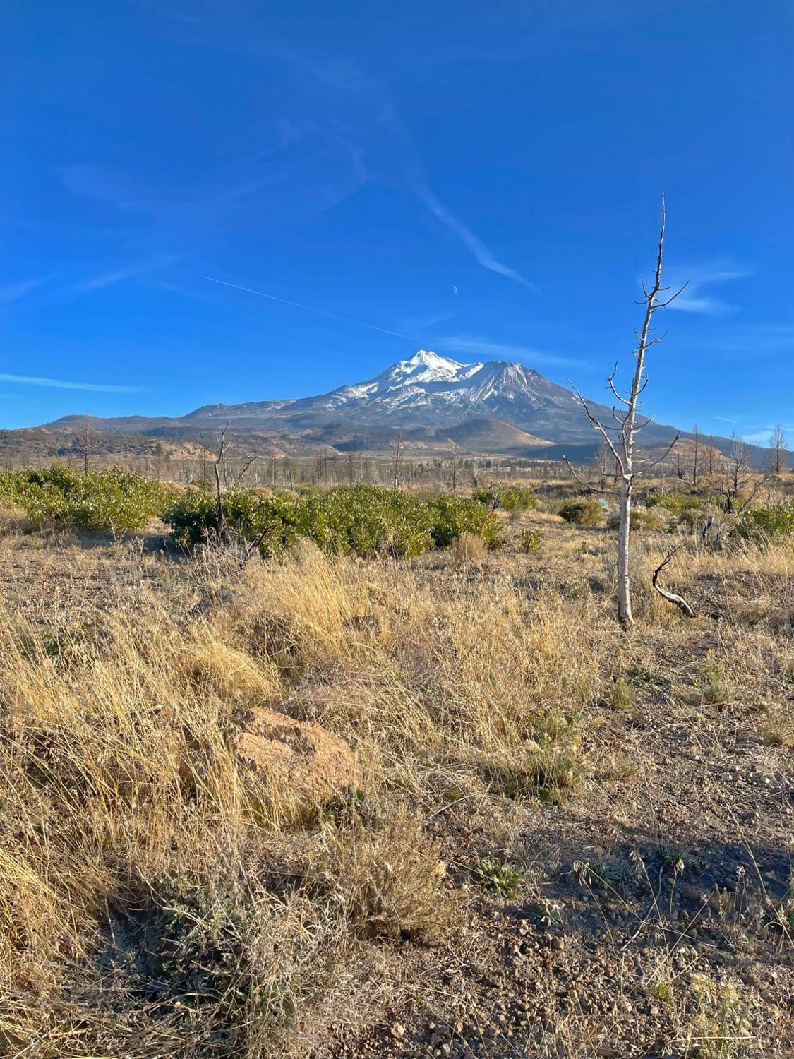 Weed, CA 96094,0 Juniper Valley DR
