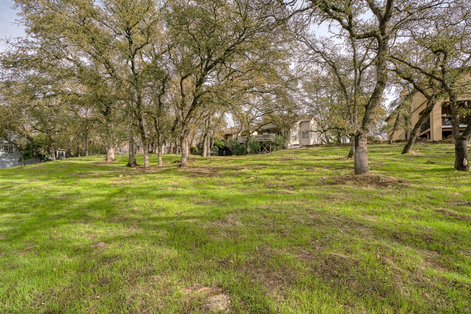 Rancho Murieta, CA 95683,14835 Guadalupe DR