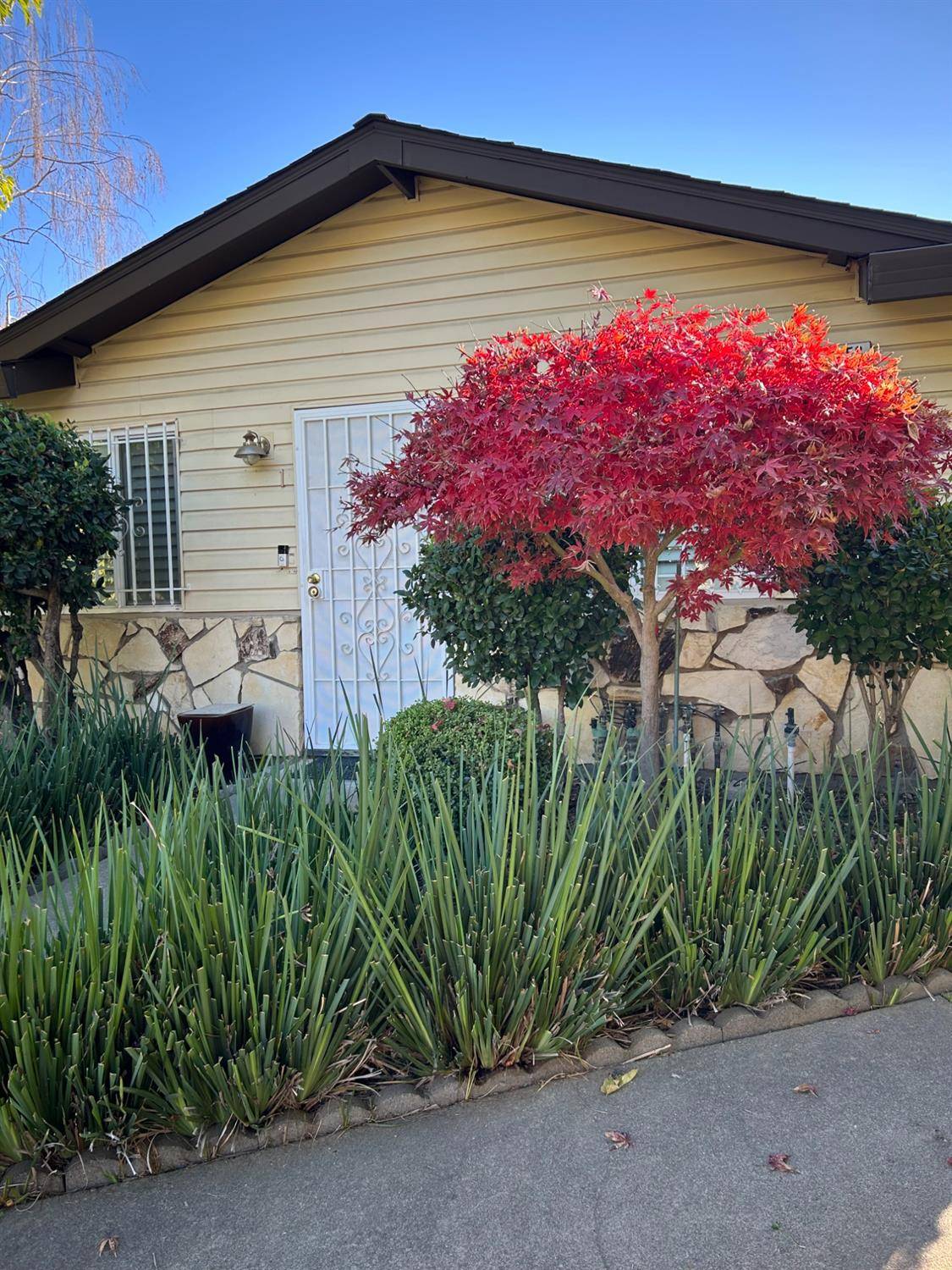 Sacramento, CA 95826,9058 Montoya ST #1
