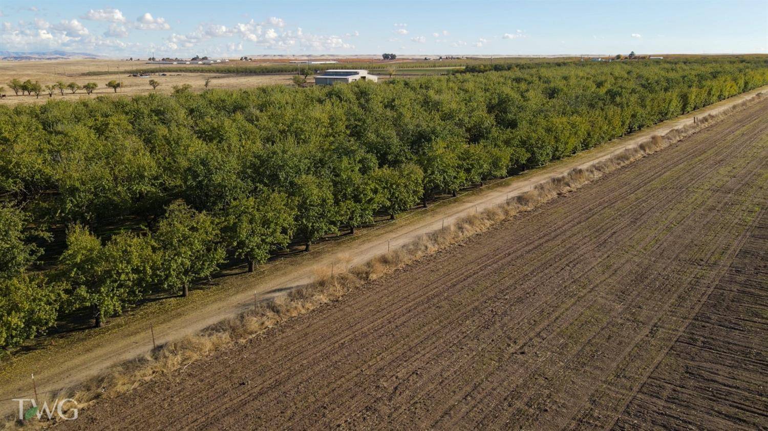 Snelling, CA 95369,0 Figmond Ave.