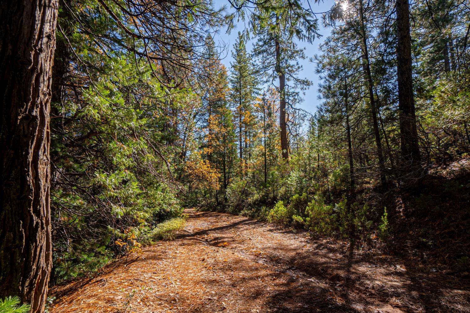Twain Harte, CA 95383,TBD Forest Road FS-2N07