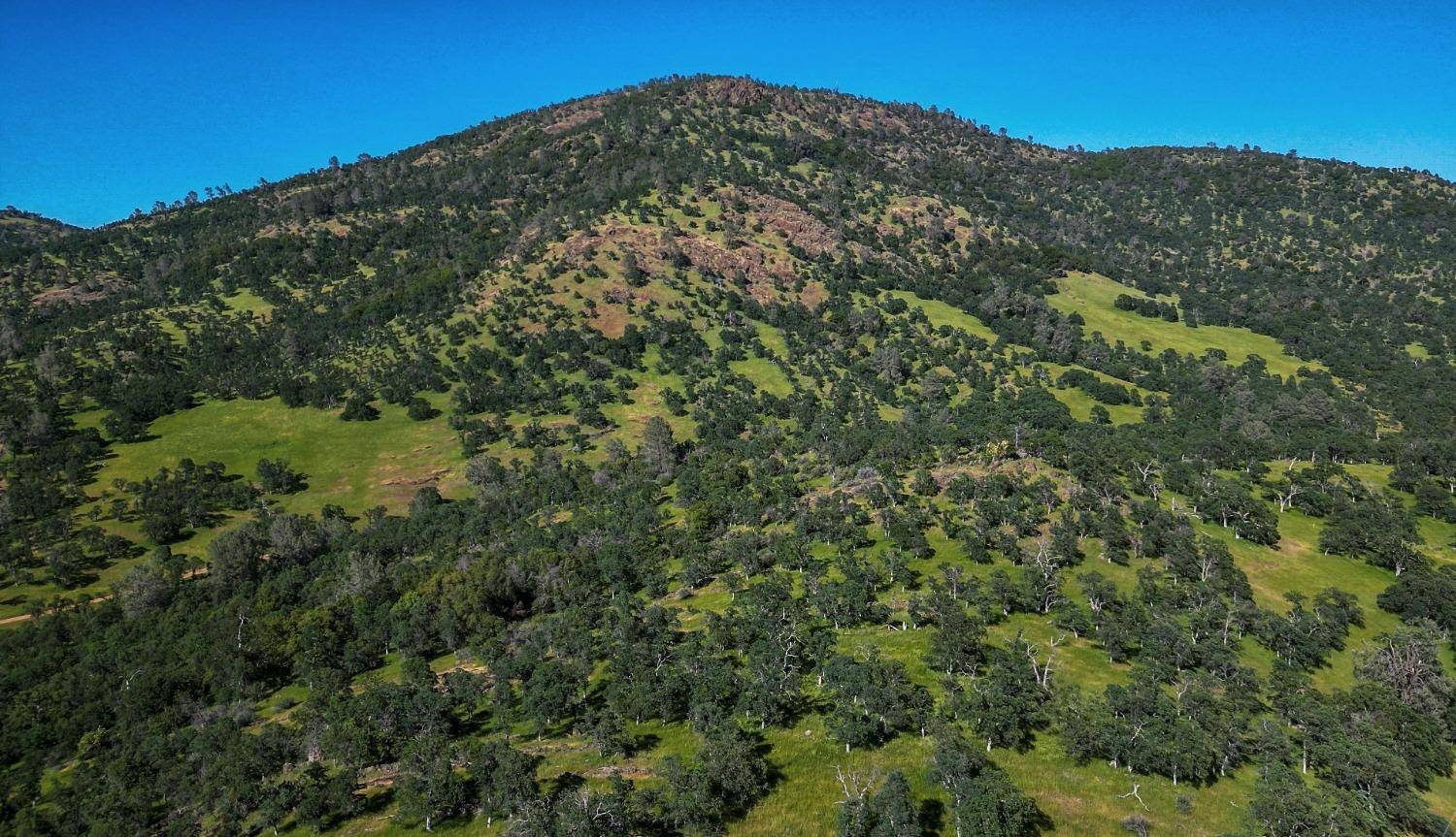 Coulterville, CA 95311,TBD Marshes Flat Road