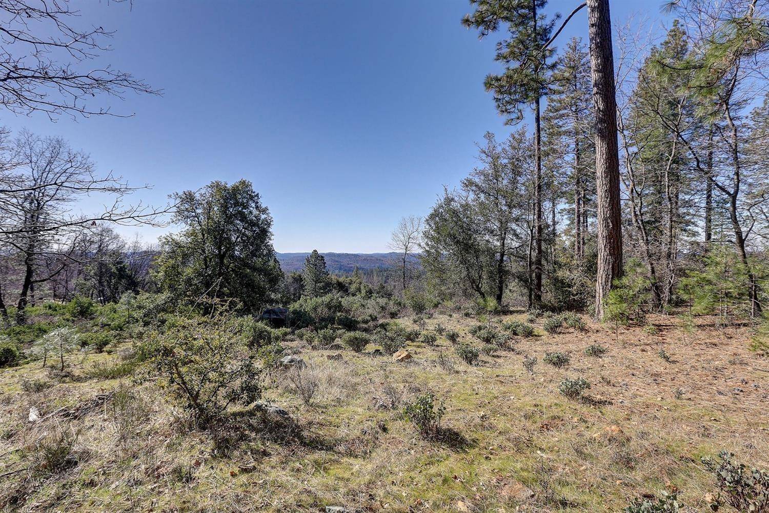 Grass Valley, CA 95945,14652 Carman CT