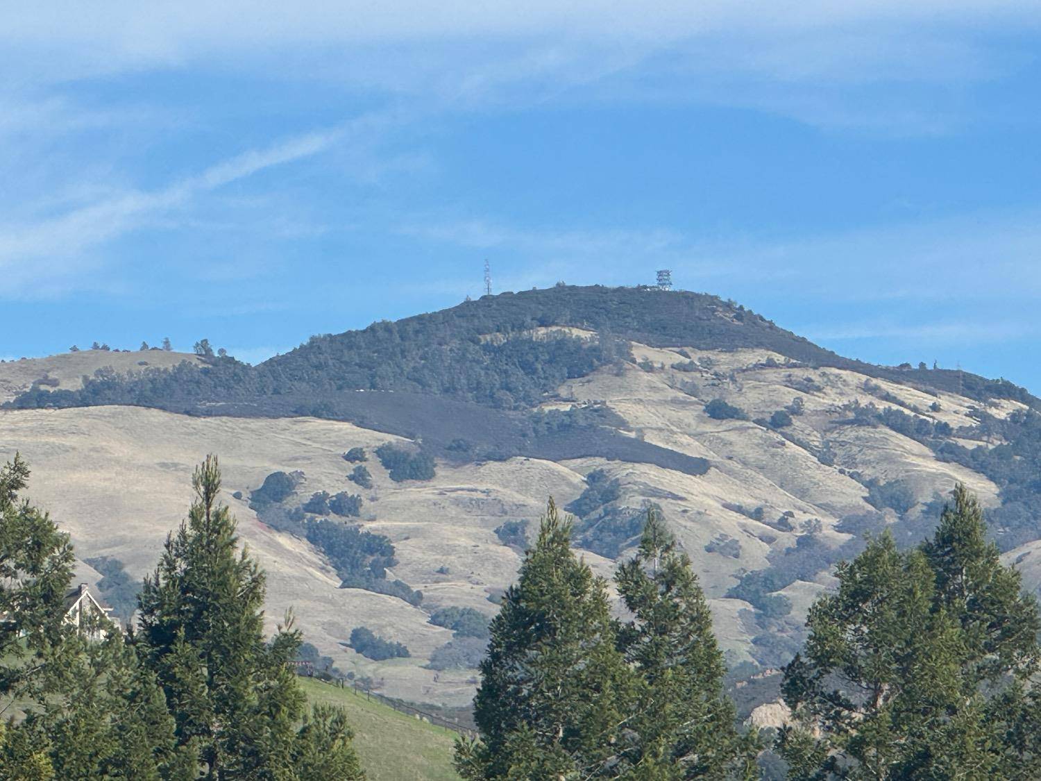 Alamo, CA 94507,142 Smith RD