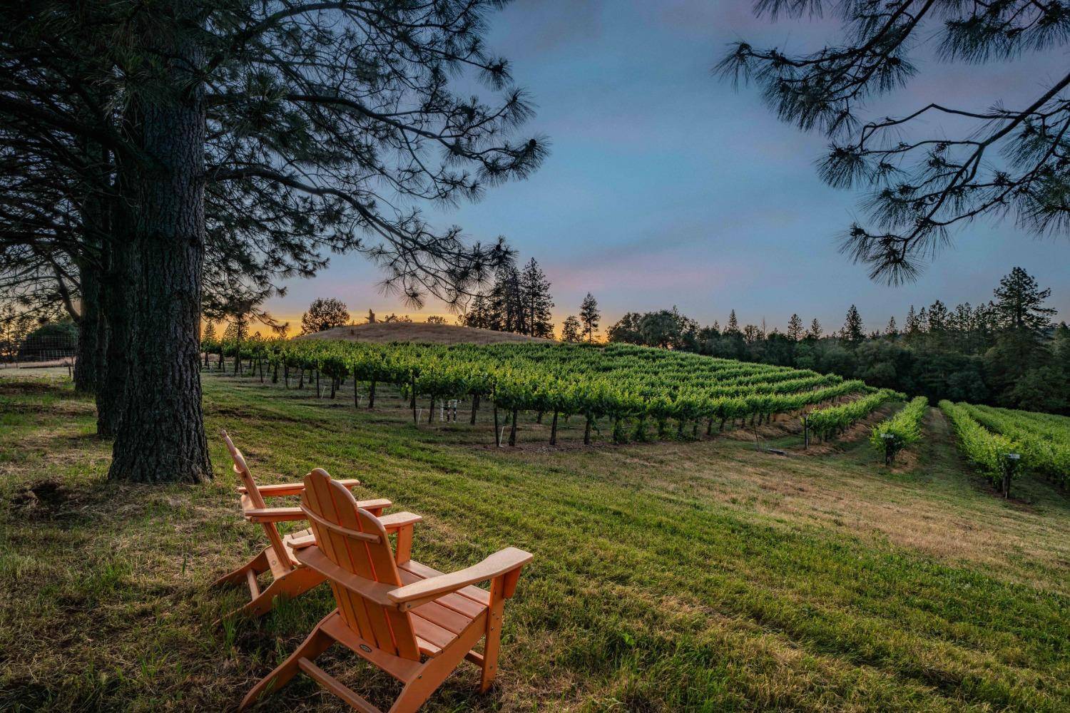 Fiddletown, CA 95629,16915 Red Mule RD