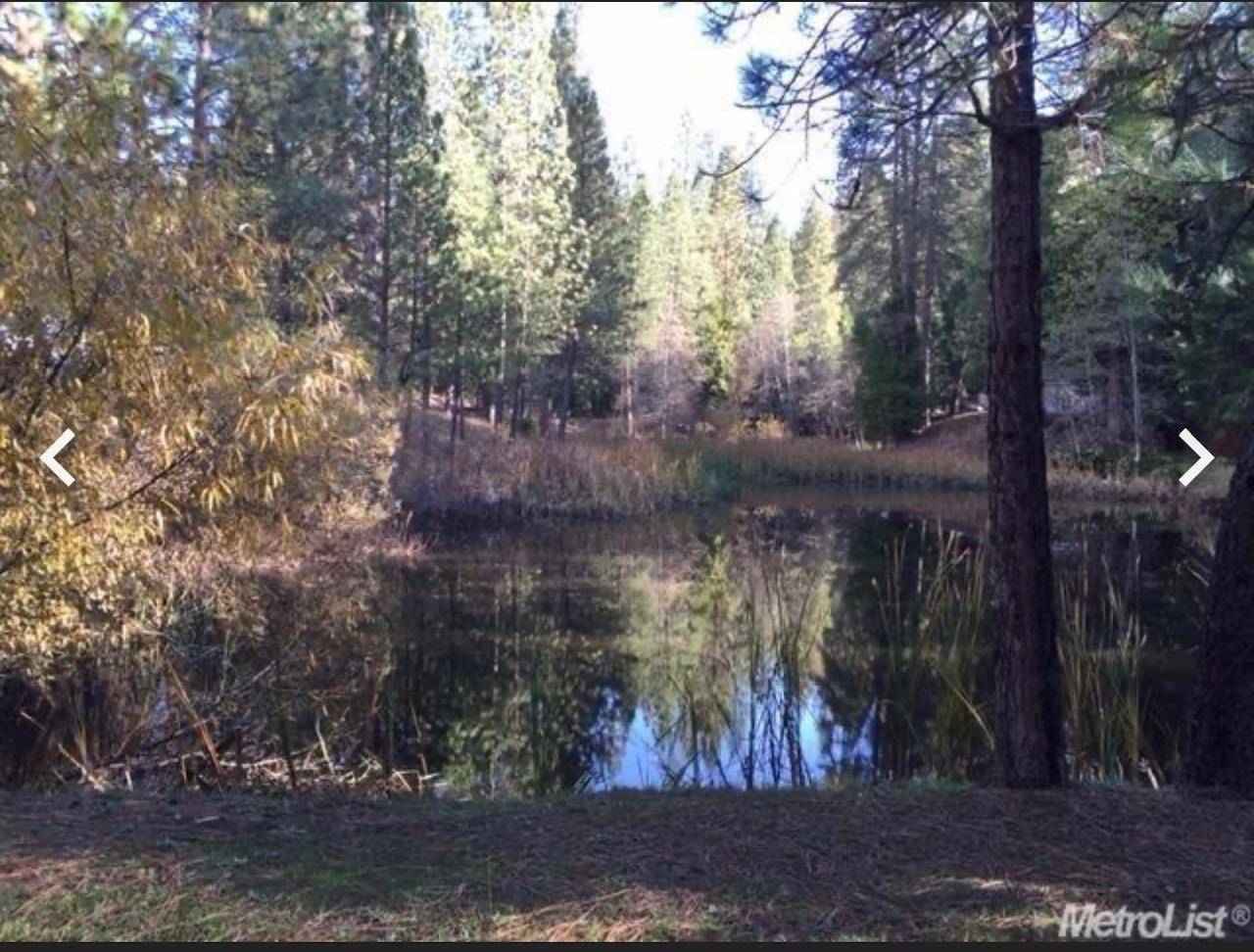 Grizzly Flats, CA 95636,5055 Parkside DR