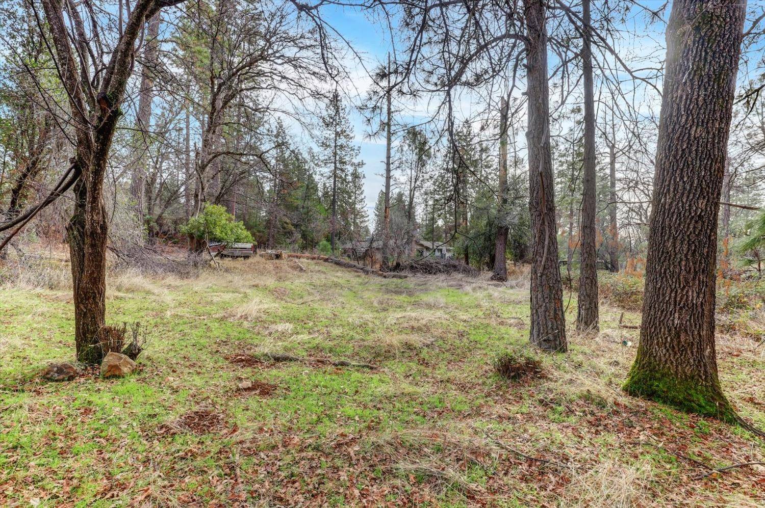 Grass Valley, CA 95949,18502 Norlene WAY