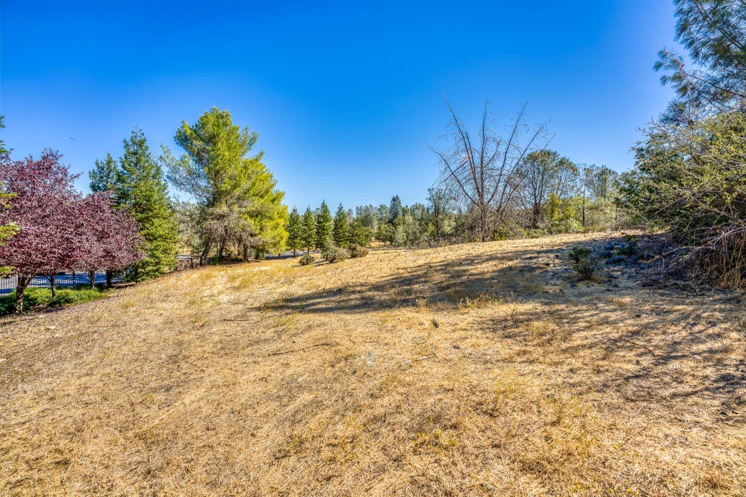 Auburn, CA 95602,12959 Windsong CT