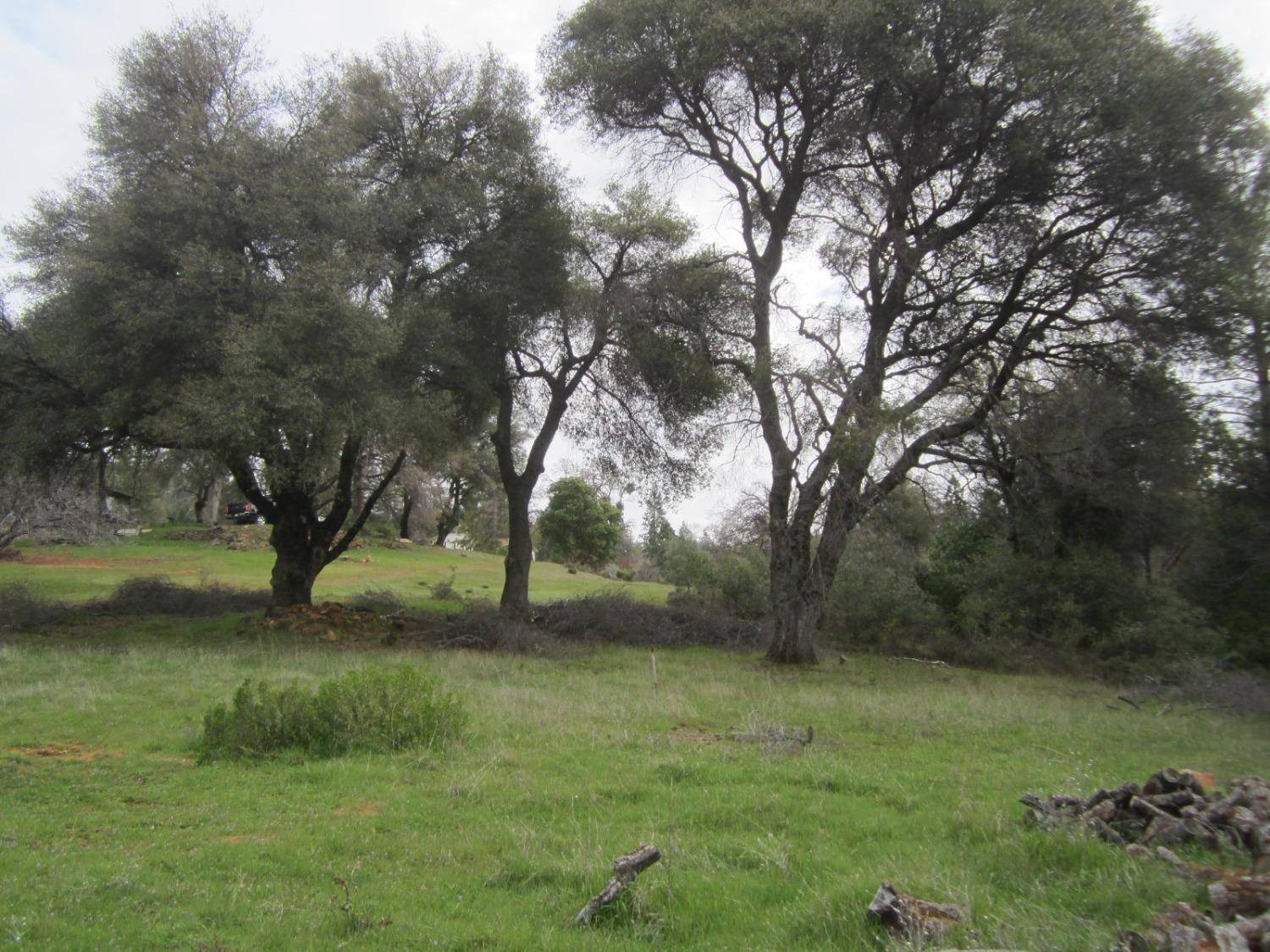 Placerville, CA 95667,3060 Dyer WAY