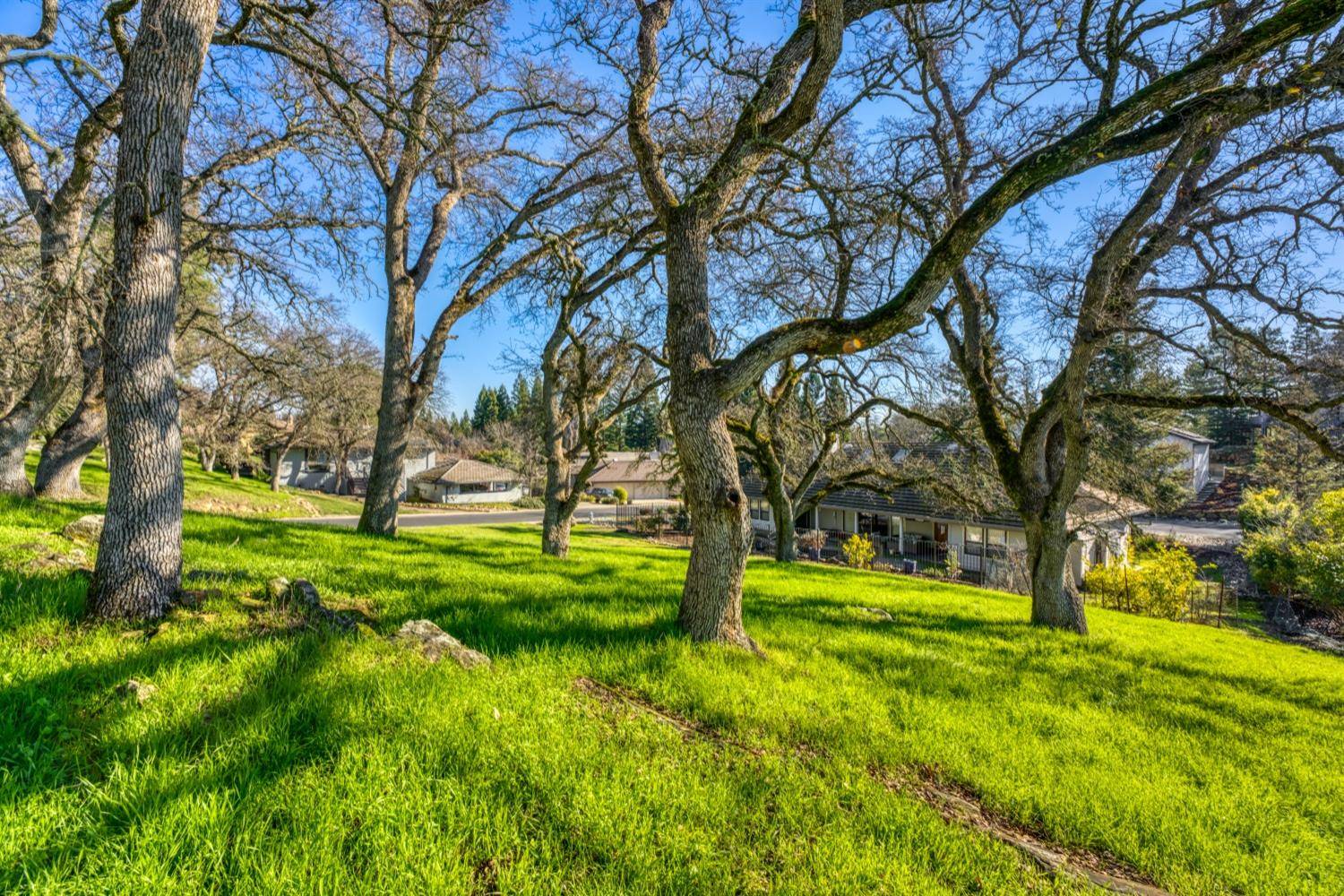 Rancho Murieta, CA 95683,0 Camino Del Sol