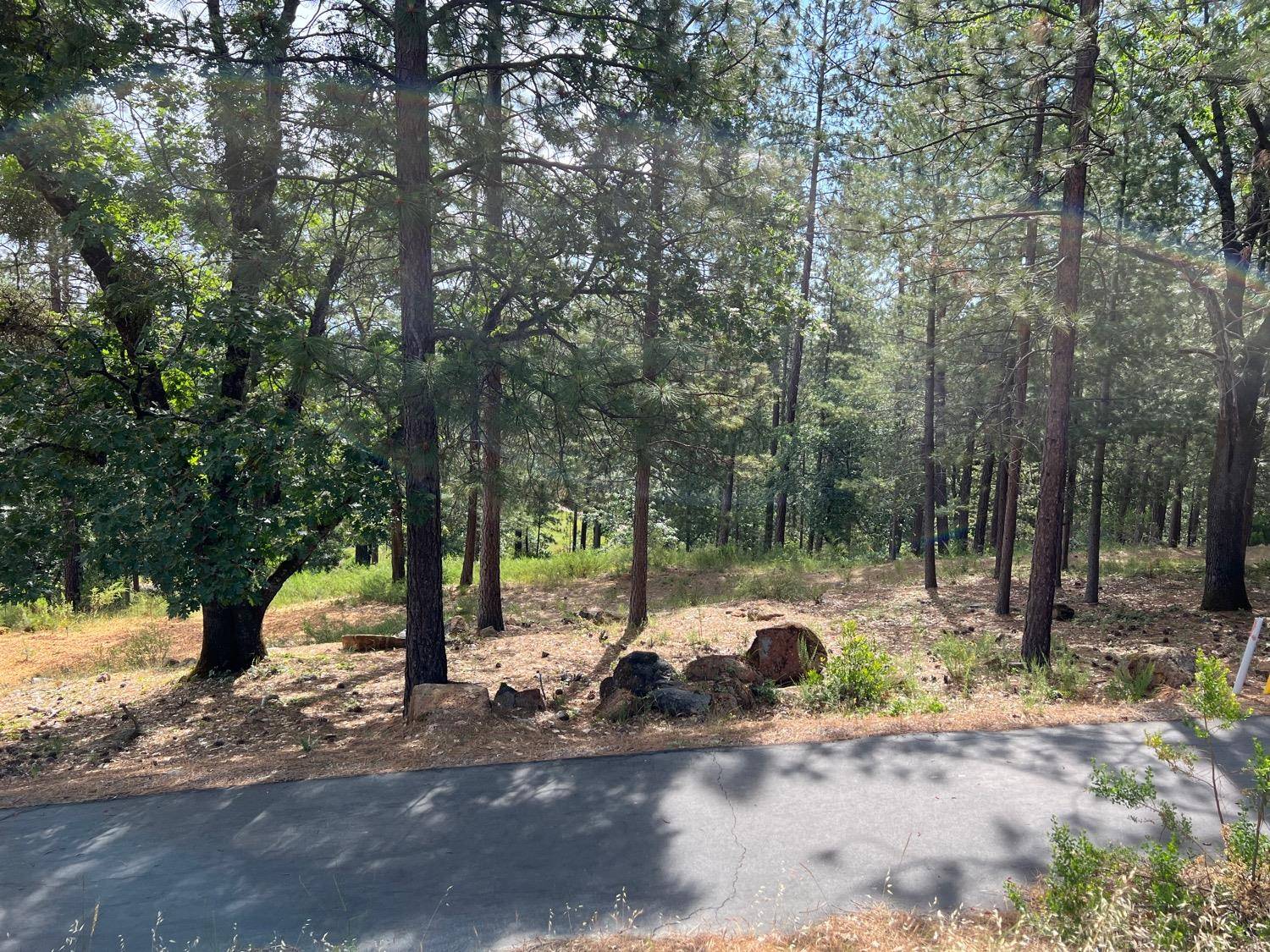 Meadow Vista, CA 95722,1662 The Point RD