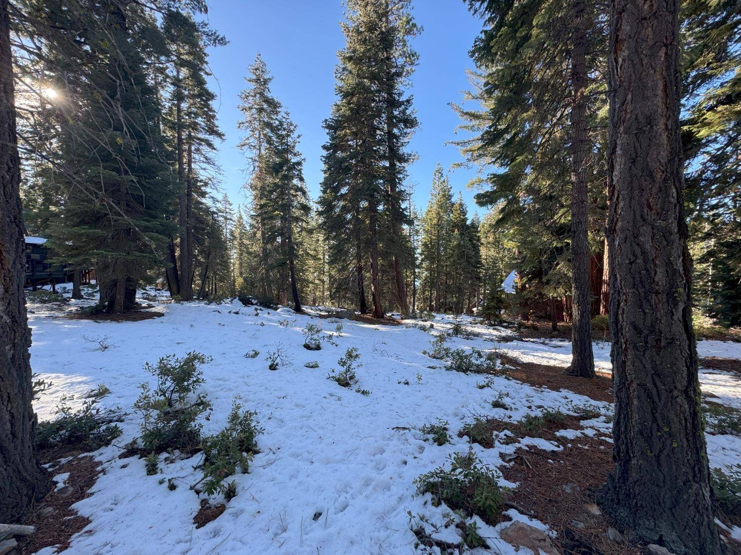 Carnelian Bay, CA 96140,5255 North Lake Blvd