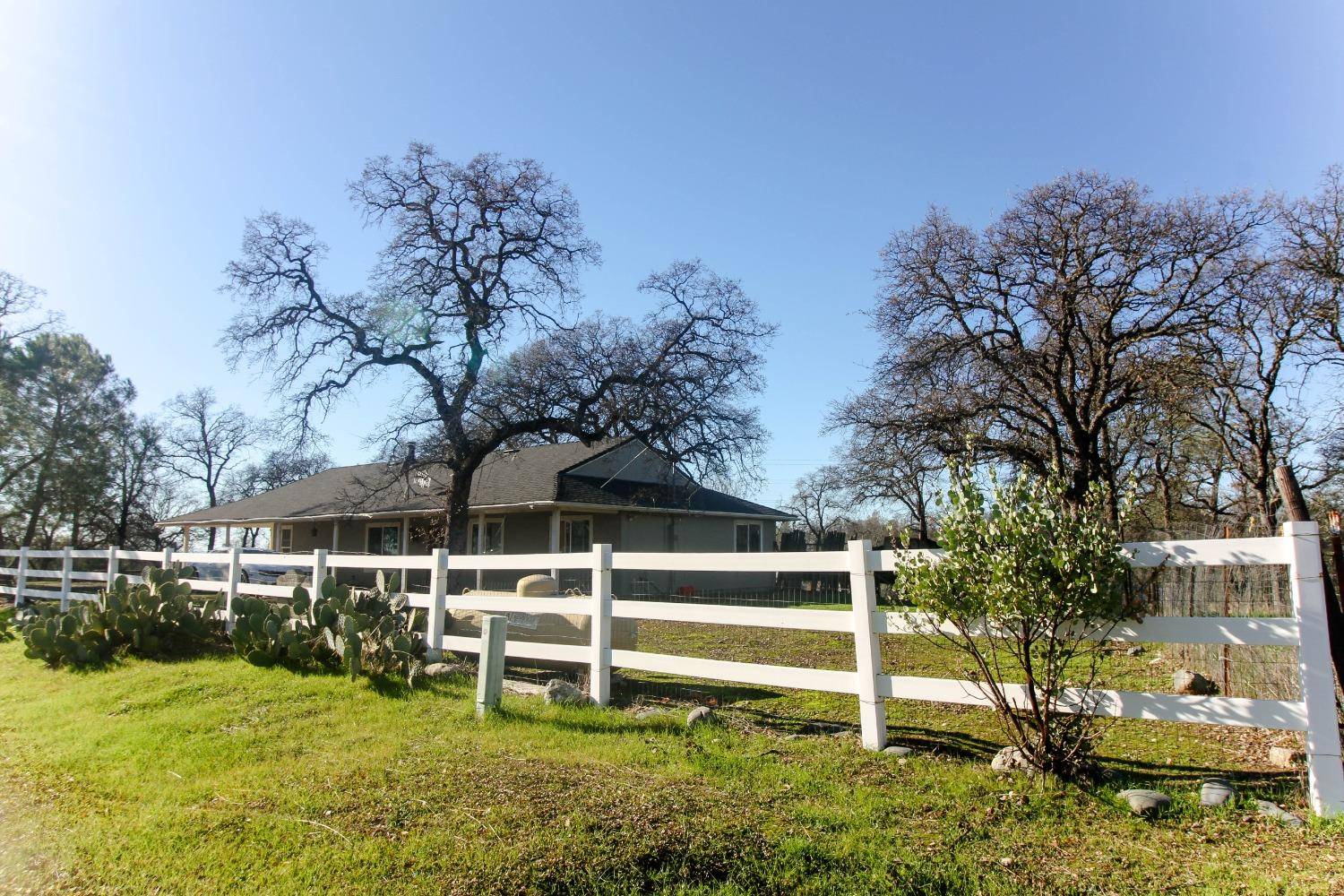 Oroville, CA 95966,31 Dack WAY