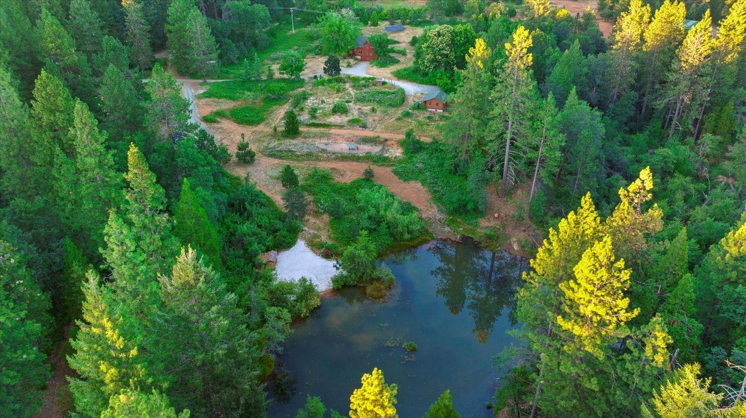 Nevada City, CA 95959,11992 Red Gate Rd