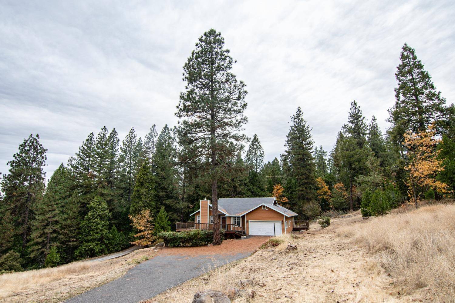 Twain Harte, CA 95383,18550 Cheryl WAY